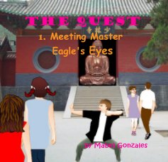 The Quest 1. Meeting Master Eagle's Eyes book cover