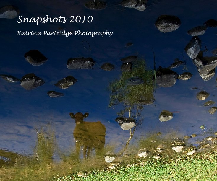 View Snapshots 2010 by Katrina Partridge