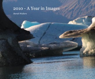 2010 - A Year in Images book cover