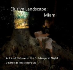 Elusive Landscape: Miami book cover