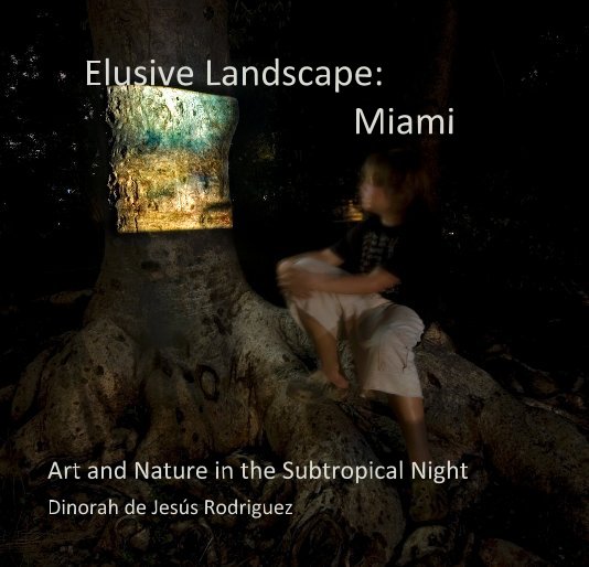 View Elusive Landscape: Miami by Dinorah de Jesús Rodriguez