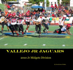 Vallejo Jr Jaguars book cover
