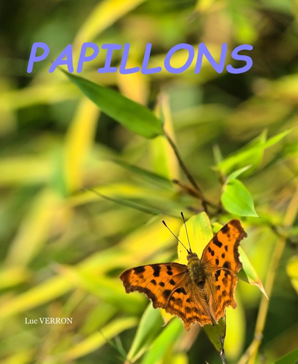 View PAPILLONS by Luc VERRON