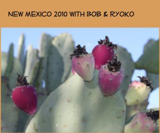 New Mexico 2010 with Bob & Ryoko book cover