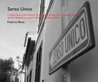 Senso Unico book cover