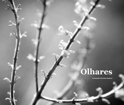 Olhares book cover