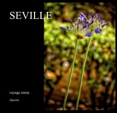 SEVILLE book cover