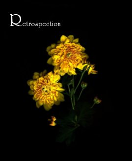 Retrospection book cover