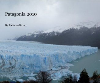 Patagonia 2010 By Fabiano Silva book cover