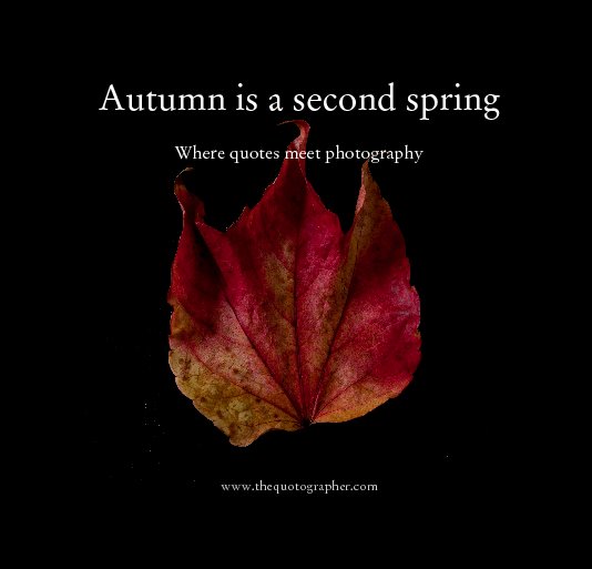 Visualizza Autumn is a second spring di www.thequotographer.com