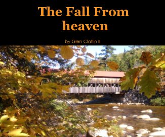 The Fall From heaven book cover
