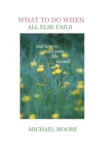 WHAT TO DO WHEN ALL ELSE FAILS And how to turn your life around book cover