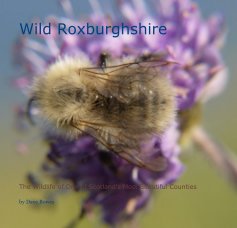Wild Roxburghshire book cover