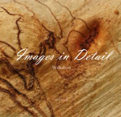 Images in Detail book cover