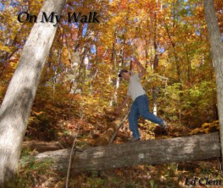 On My Walk book cover
