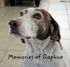 Memories of Daphne book cover