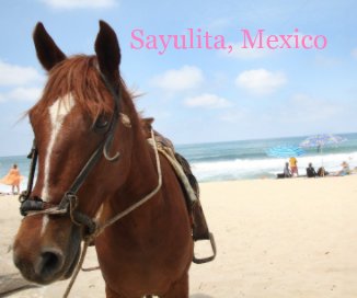 Sayulita, Mexico book cover