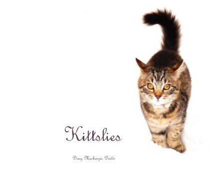 Kittslies book cover