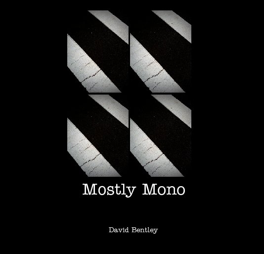 View Mostly Mono by David Bentley