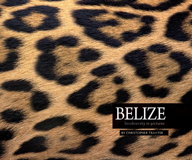 Ver Belize: Biodiversity in Images por Christopher Tranter