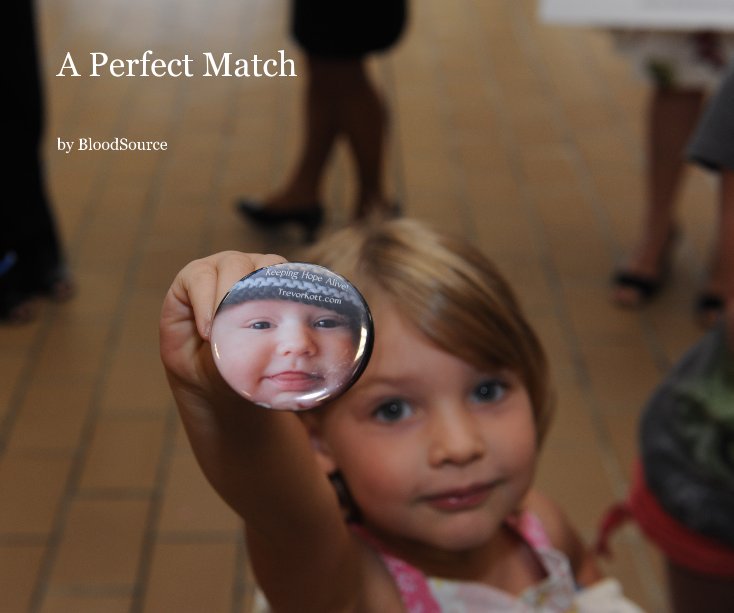 Ver A Perfect Match por BloodSource