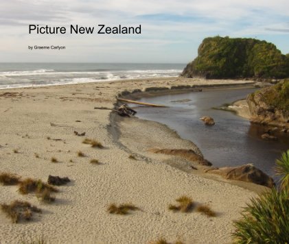 Picture New Zealand book cover