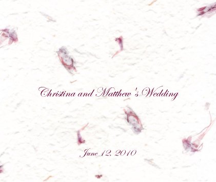 Christina and Matthew's Wedding book cover