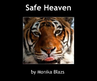 Safe Heaven book cover