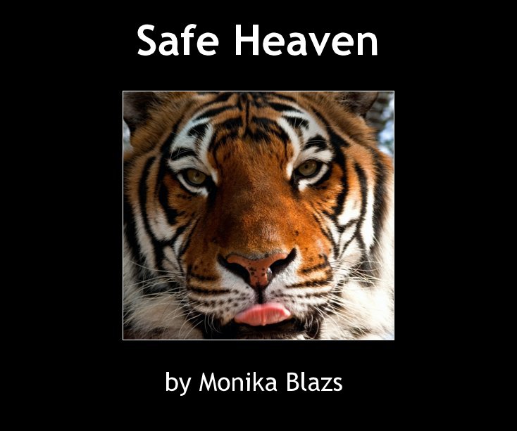 View Safe Heaven by Monika Blazs