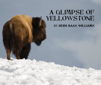 A Glimpse of Yellowstone by Heidi Haas Williams book cover