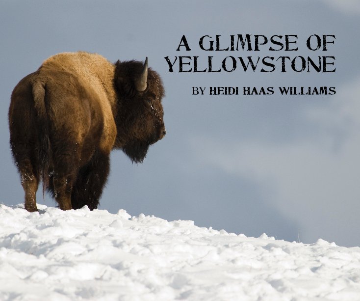 View A Glimpse of Yellowstone by Heidi Haas Williams by Heidi Haas Williams