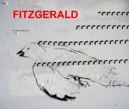 FITZGERALD book cover