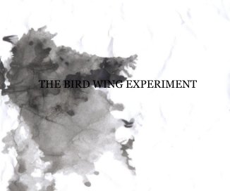 THE BIRD WING EXPERIMENT book cover