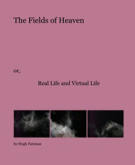 The Fields of Heaven book cover