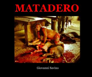 MATADERO book cover