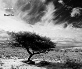 Light David Reid book cover