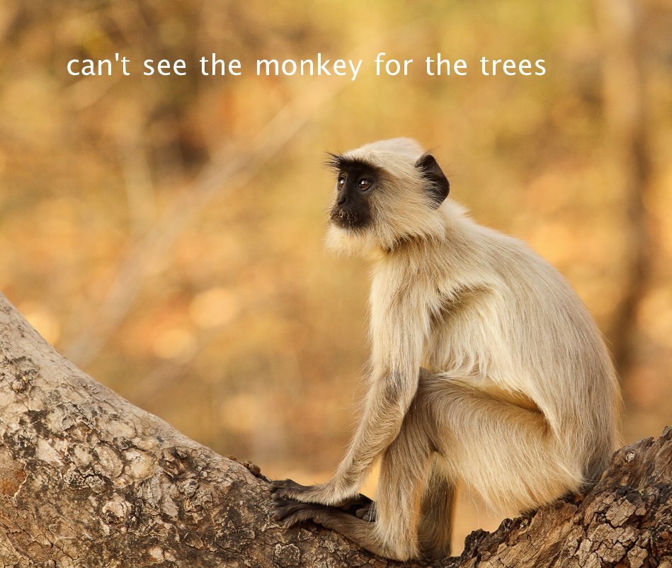 Ver can't see the monkey for the trees por kitchinsink