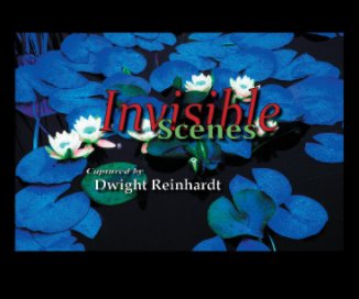 Invisible Scenes book cover