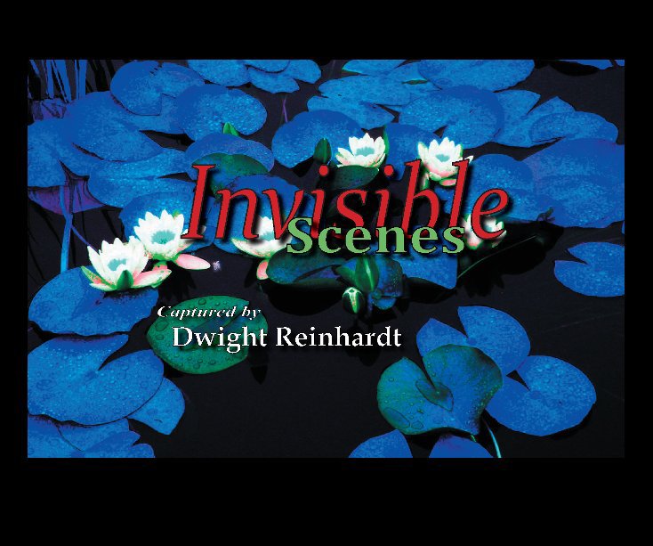 Visualizza Invisible Scenes di captured by Dwight Reinhardt