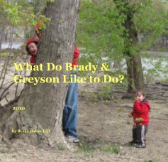 What Do Brady & Greyson Like to Do? book cover