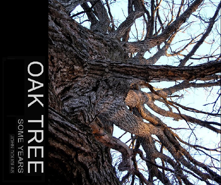 View OAK TREE by JOHN DOUGLAS