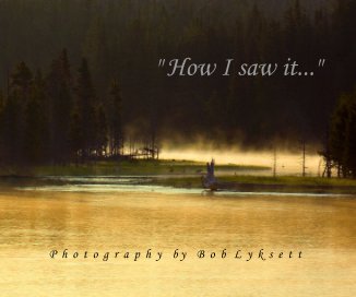 " How I saw it..." book cover