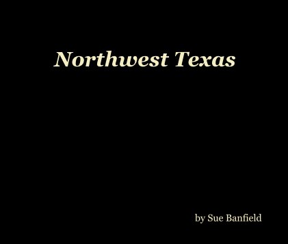 Northwest Texas book cover