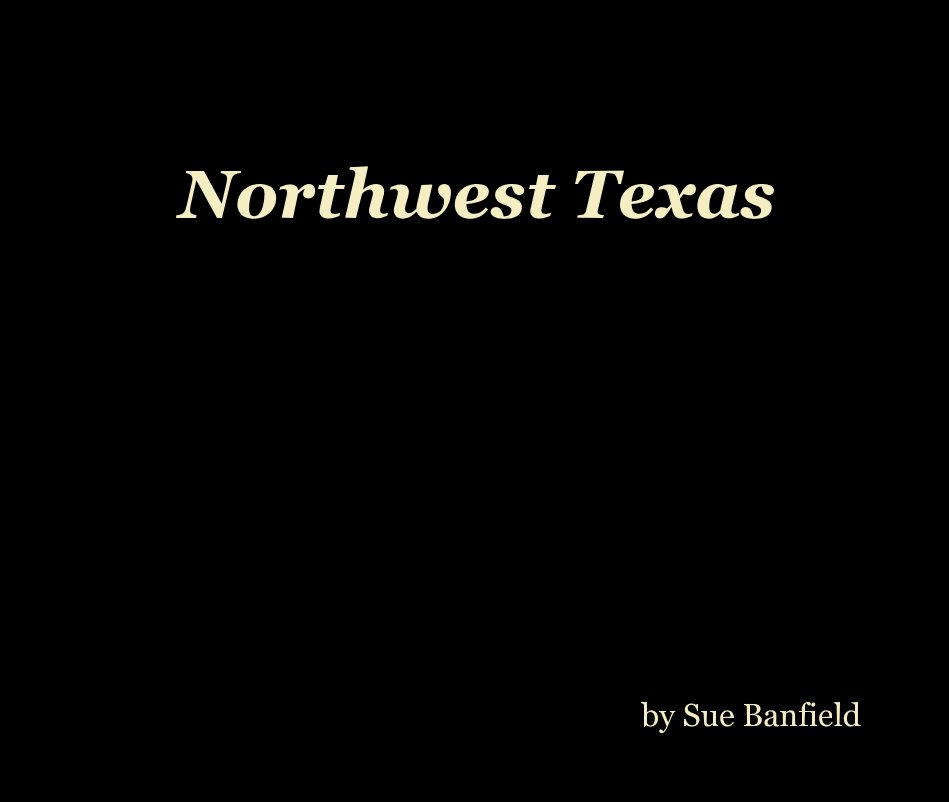 View Northwest Texas by Sue Banfield