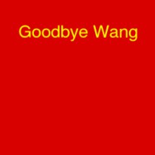 Goodbye Wang book cover