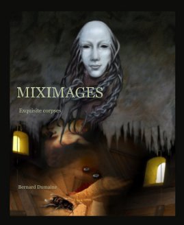 Miximages book cover