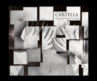 CARTELLA Images By: Vincent Ponzi book cover