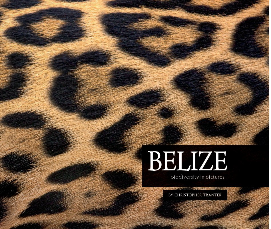 View Belize: Biodiversity in Images by Christopher Tranter