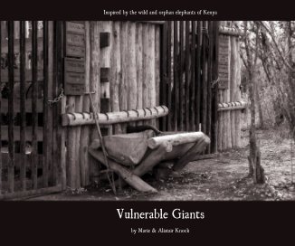 Vulnerable Giants book cover