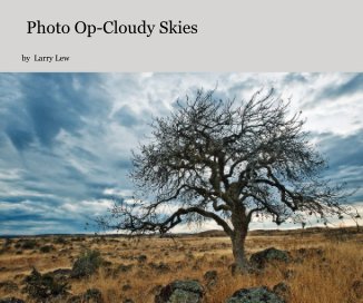 Photo Op-Cloudy Skies book cover
